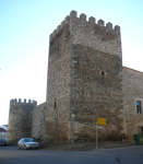 Castillo-Palacio de los Altamirano